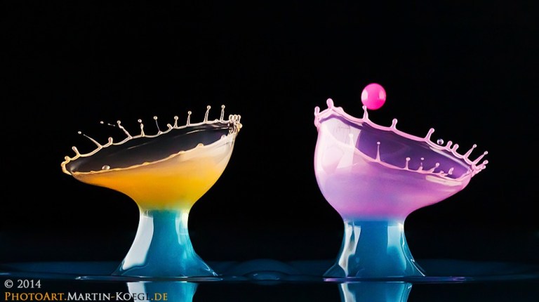 20141211-img_4739_1000px_1000