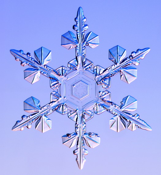 snowflake-9 (1)