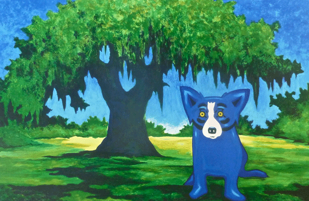 Blue Dog Oak