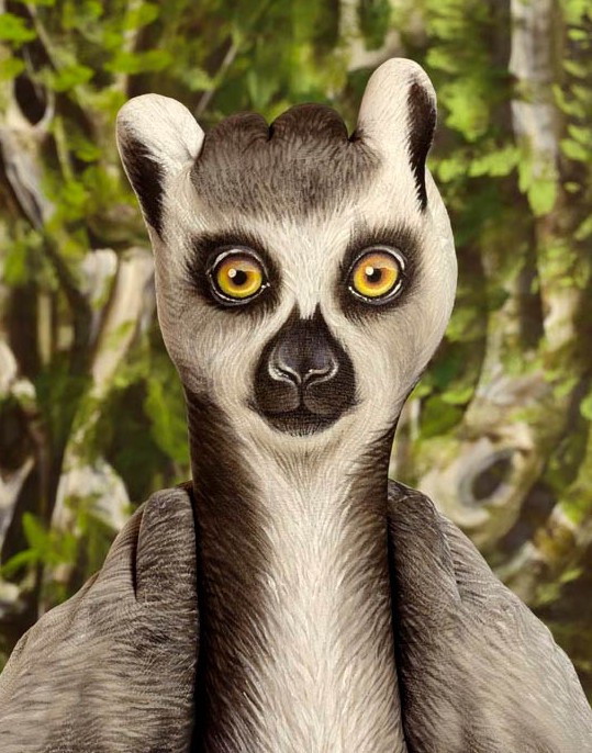 phoca_thumb_l_le-mur-catta-handpainting