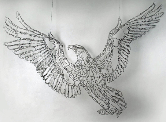 bald eagle with trout