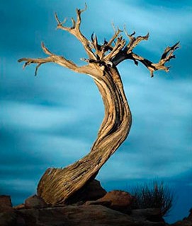 e5gswefgvdsgfrgdfgfdgd