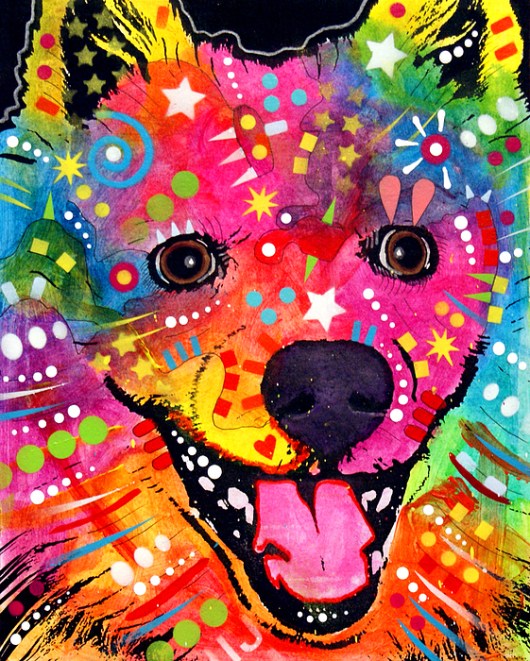 2-american-eskimo-dog-dean-russo