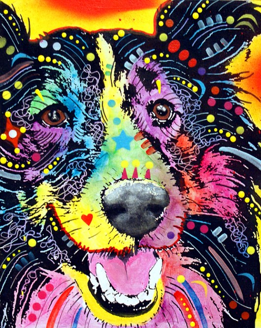 2-sheltie-dean-russo