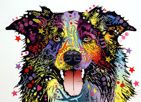 border-collie-2-dean-russo