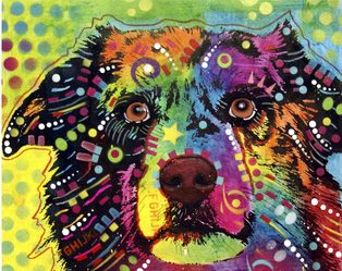 dean-russo-straight-aussie