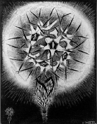 LW280-MC-Escher-Prickly-Flower-1936