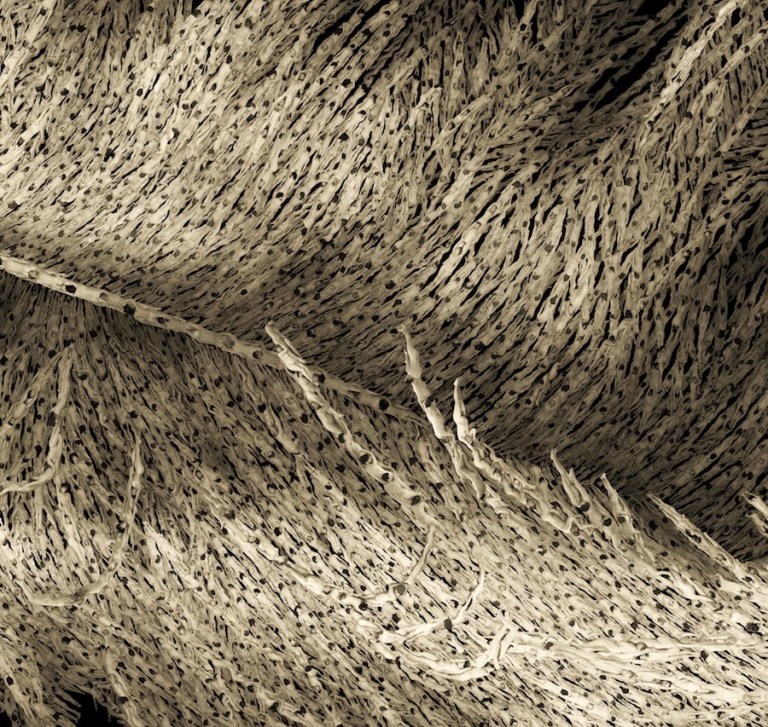 6 slide_423380_5439996_free