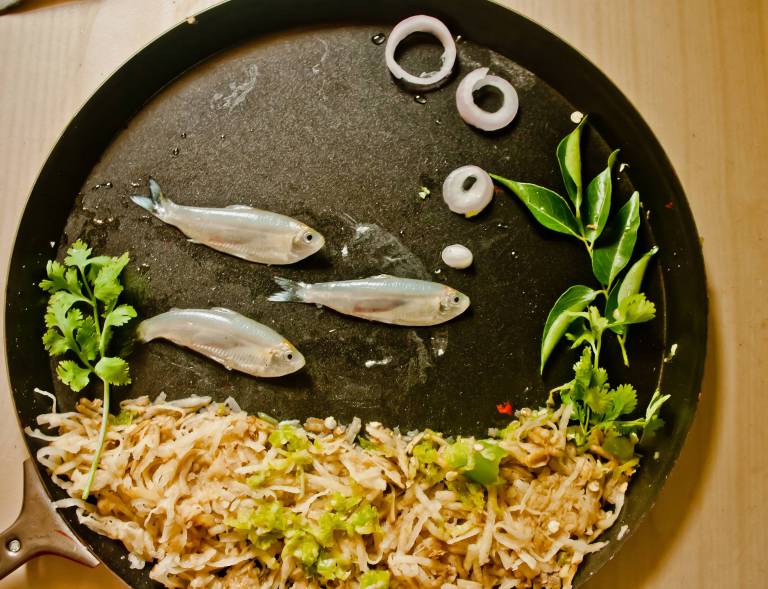 fish_food_art